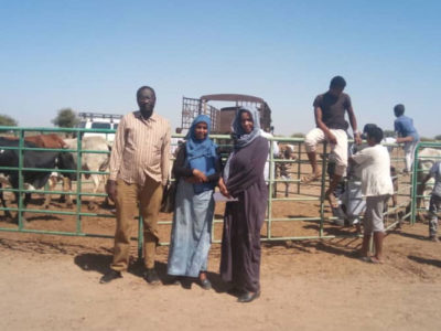 Reducing antibiotic use in Sudan through a One Health approach