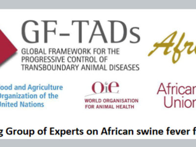 GPE PPA Afrique : Première réunion du groupe permanent d’experts (GPE) pour la peste porcine africaine (PPA)