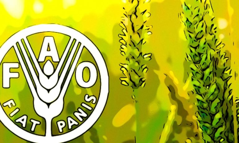 Logo de la FAO