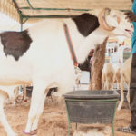 AU-IBAR : Animal Welfare, Environment & Sustainable Development Nexus Resolution Adopted during United Nations Environmental Assembly 5.2
