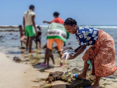Acting for better aquatic animal health and welfare worldwide