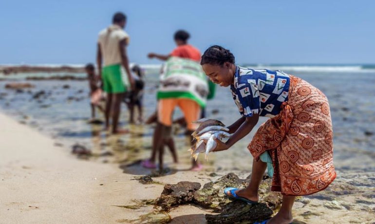 Malagasy woman preparing fish to the return of fishing on the beach of Lavanono in far south of Madagascar