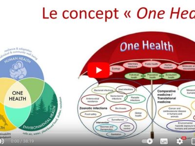 Vidéo : Qu’est ce que le concept « One Health » (une santé) ?