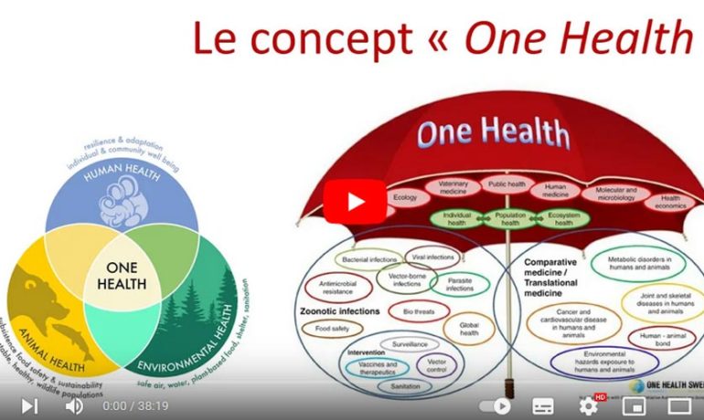 One Health