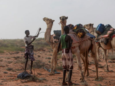 Somalie: de nouvelles données montrent que la sécheresse dans la Corne de l’Afrique est un facteur aggravant de la faim aiguë