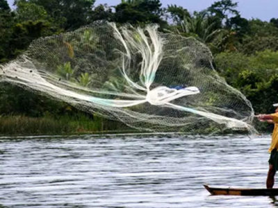 Mauritanie : la pêche continentale assure plus de 20.000 emplois (ministre)