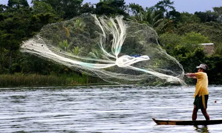 Mauritanie Pêches