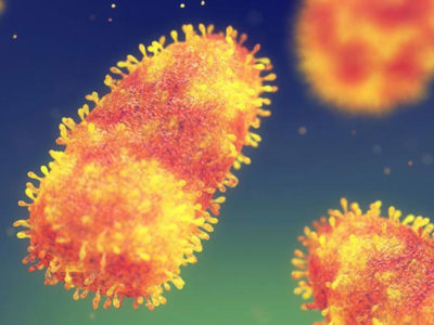 Call for Experts – The Regional Technical Advisory Group on Dog-Mediated Human Rabies