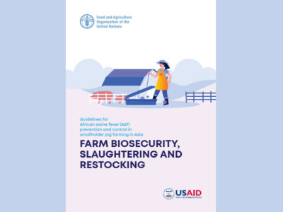Guidelines for African swine fever (ASF) prevention and control in smallholder pig farming in Asia – Farm biosecurity, slaughtering and restocking