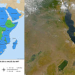 Madagascar : Expert international en nutrition pour l’élaboration du manuel de formation et de sensibilisation sur la nutrition