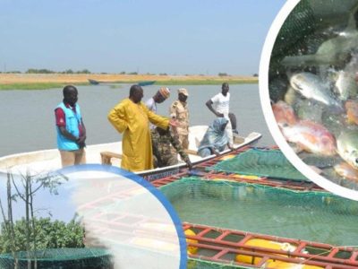 Cameroun : La société Fish&Co investit dans l’Aquaculture