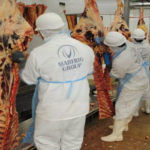 International : Le Vietnam produit avec succès un vaccin contre la peste porcine africaine