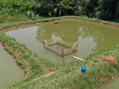 Côte d’Ivoire : Le Premier Ministre procédera au lancement officiel du Programme Stratégique de Transformation de l’Aquaculture le 1er août à Loka (Bouake)