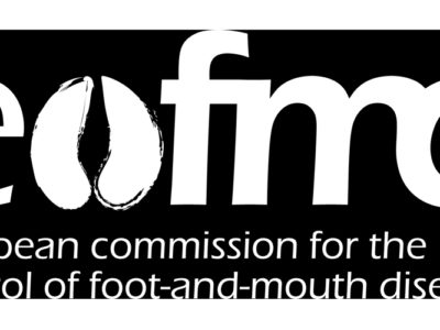 EuFMD Technical specialists on foot-and-mouth disease and similar transboundary animal diseases