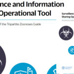 Djibouti : FAO Representative and various duty stations (RAF)