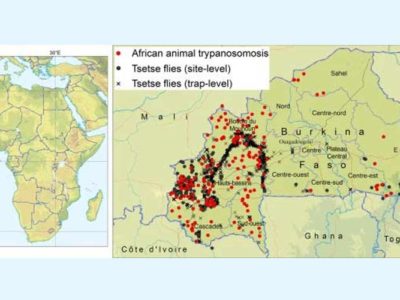 An atlas to support the progressive control of tsetse‑transmitted animal trypanosomosis in Burkina Faso