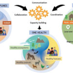 Veterinary vaccines: principles and applications