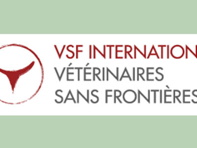 Consultancy to develop VSF International’s advocacy strategy on One Health
