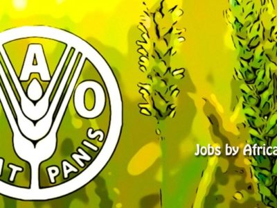 Jobs FAO : Chef/Cheffe, Groupe chargé de l’approche «Une seule santé» et de la lutte contre les maladies (NSAH-CJW)