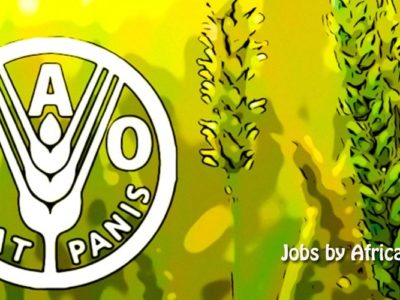 Jobs – FAO : National One Health Specialist (SC9)