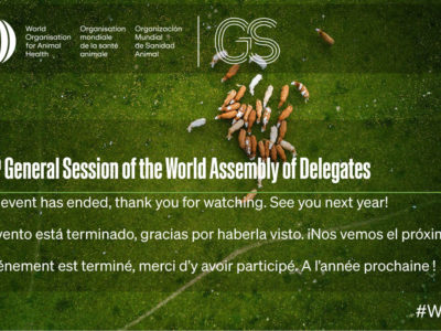 90ème Session générale de l’Assemblée mondiale des Délégués