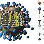 £39 million for AMR research as UK launches Global Health Framework