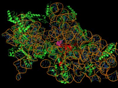 £39 million for AMR research as UK launches Global Health Framework