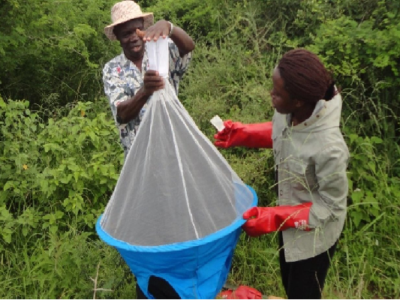 Call for Abstracts: 36th International Scientific Council for Trypanosomiasis Research and Control Conference