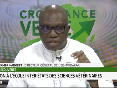 Sénégal-découverte: Immersion à l’Ecole Inter-Etats des Sciences Vétérinaires de Dakar