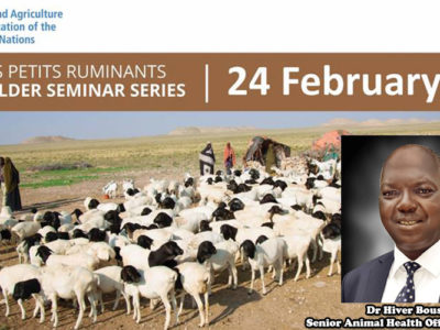 SAVE THE DATE | PPR Stakeholder seminar series | 24 February (11:00-12:00 CET), Dr Hiver Boussini, AU-IBAR