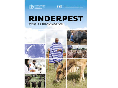 Rinderpest and its eradication