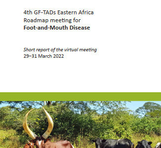 4th GF-TADs Eastern Africa Roadmap Meeting for Foot-and-Mouth Disease