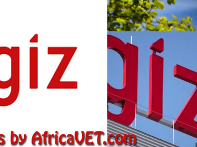 Advisor One Digital Health – One Health Data Alliance Africa