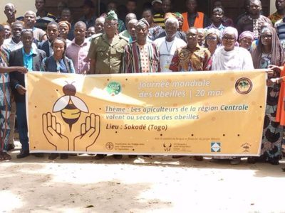 World Bee Day 2023: Bee Engaged in Pollinator-Friendly Agricultural Production
