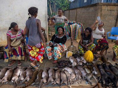 Release of “Bushmeat,” a Book Promoting a Holistic Approach to Wild Meat in Central Africa, Supports WCS Vision