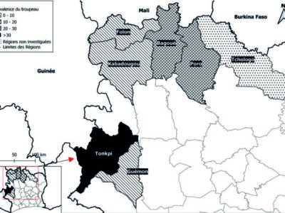 Transhumance transfrontalière du bétail et répartition spatiale de la brucellose en Côte d’Ivoire