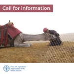 CEEAC : Atelier de sensibilisation pour la prévention de la rage humaine et animale dans le cadre de l’approche « Une Seule Santé“