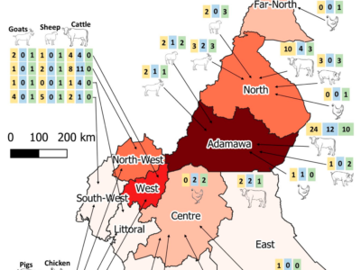 Zoo-Sanitary Situation Assessment, an Initial Step in Country Disease Prioritization Process