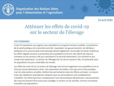 Atténuer les effets de covid-19 sur le secteur de l’élevage