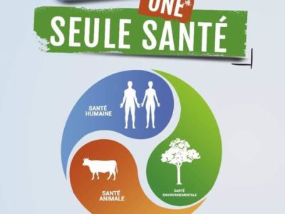 Côte d’Ivoire : Journée mondiale du One Health / Une seule Santé : voici la déclaration du gouvernement