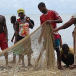 Niger : Fiche technique sur la transformation du lait local en yaourt brassé.