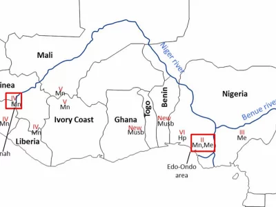 The niche of One Health approaches in Lassa fever surveillance and control