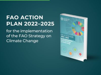 FAO Action Plan 2022–2025 for the implementation of the FAO Strategy on Climate Change