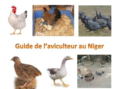 Niger : Guide de l’aviculteur