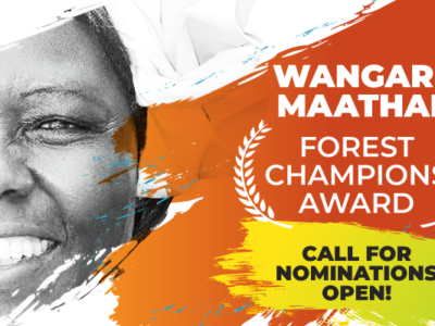 Nominations open for Wangari Maathai Forest Champions Award