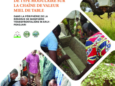 Niger : Référentiel technico-économique pour la formation continue de type modulaire sur la chaîne de valeur miel de table