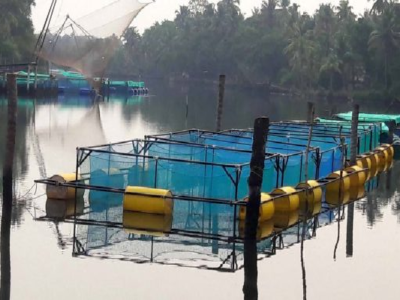 ANAF’s 2nd General Congress: Shaping the Future of Aquaculture in Africa