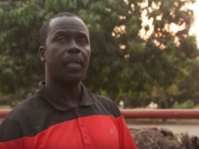 L’élevage d’autruches au Sénégal, une activité lucrative