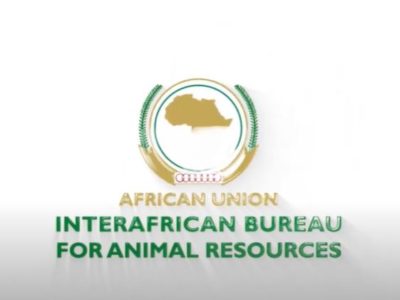AU-IBAR Jobs – Animal Health Expert