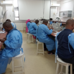 Jobs – FAO Togo : Spécialiste national (e) en Résistance aux Antimicrobiens (RAM)